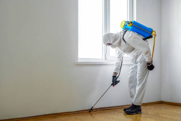 Best Flea Control Services  in , HI